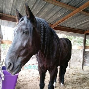 Meet your Posher, Rigoberto